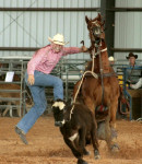 Western, rodeo, cowboy, calf rope, Florida