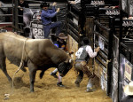 Cowboy, rodeo, bull rider, PBR