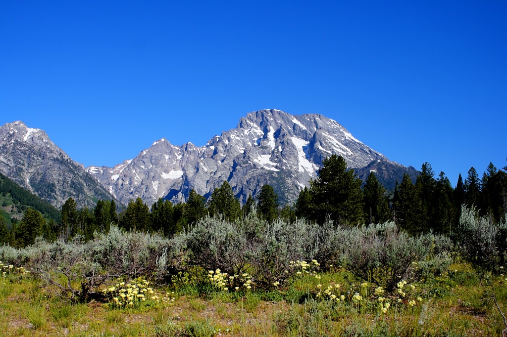 Grand Teton NP