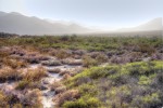 Desert landscape, dust storm, anza borega