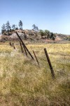 grasslands, landscape, ranch, fences