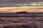 Scenery, landscape, sunset, marsh, Florida