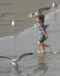 people, child, beach, Florida