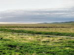 landscape, scenery, open range, grass land, California