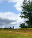 antiques, rustic, farm equipment, landscape, california