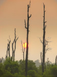 landscape, sunset, georgia