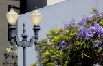 street lamp, purples flowers