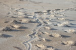 beach, abstract, Atlantic, Florida