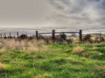 Rustic, landscape, ranch, range land, grassland, California