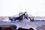 Shrimp boat, Florida, Mayport Florida